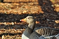 16 02 14_1066_edited-1
